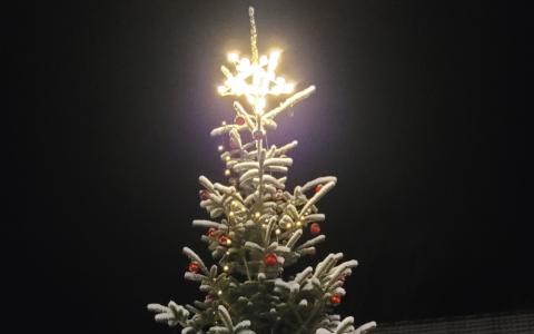 Tanne mit Stern und Schnee